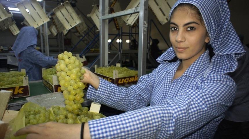 Yaş meyve sebze ihracatında hedef 5 milyar dolar