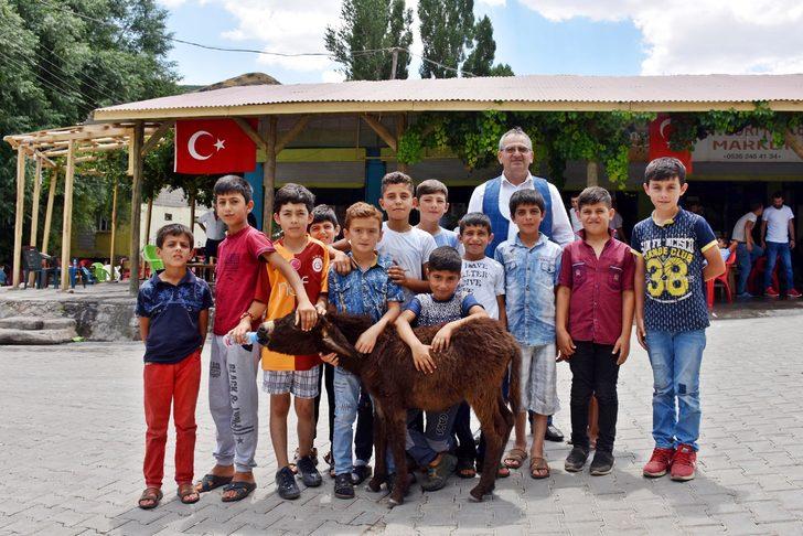 Annesi ölen sıpayı biberonla besliyorlar G1