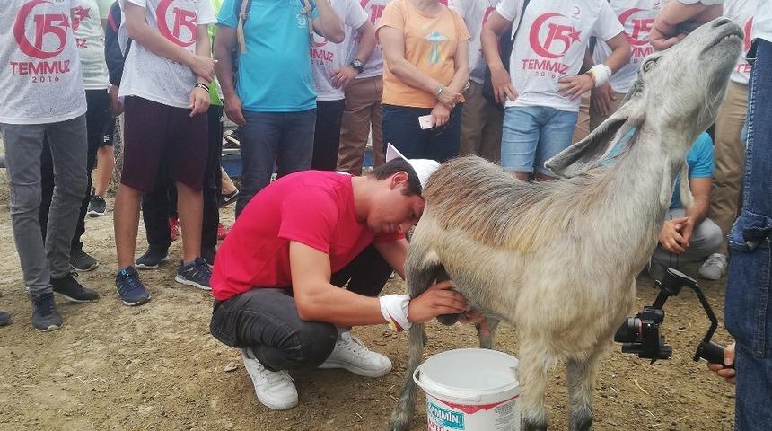 Büyükşehir’den gençlere doğal yaşam terapisi