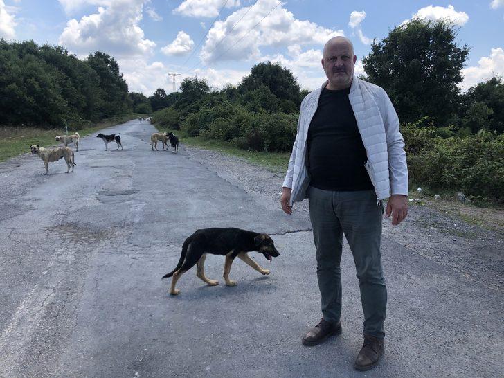  Köpekler İstanbul'daki o köyü istila etti! G5