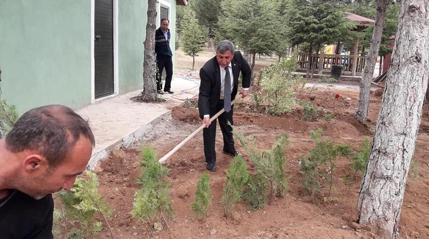 Altıntaş mesire alanında ağaçlandırma çalışmaları