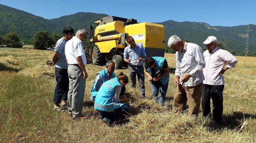Simavlı çiftçilere ‘biçerdöver’ uyarısı
