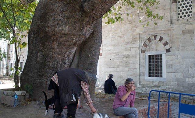 Sahaflar &Ccedil;arşısı nın sembol ismi kitaplarını &uuml;st&uuml;ne asarak satıyor 3