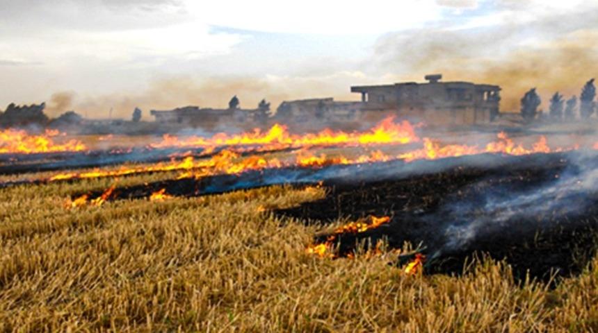 Anız yakma uyarısı