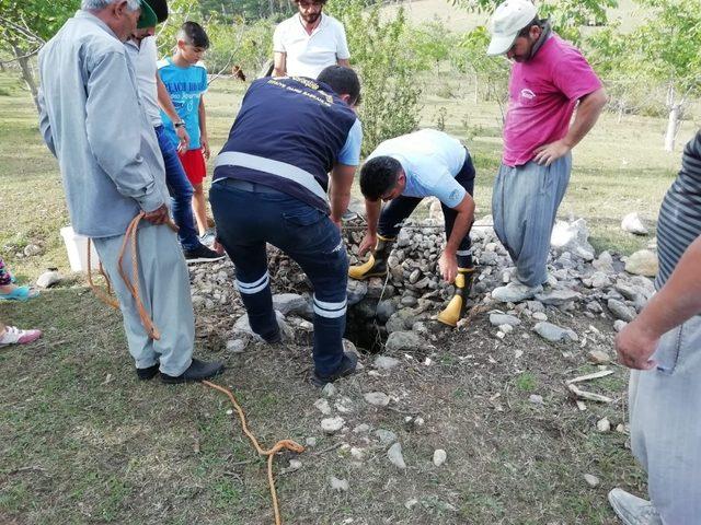 Su kuyusuna düşen inek itfaiye ekiplerince kurtarıldı