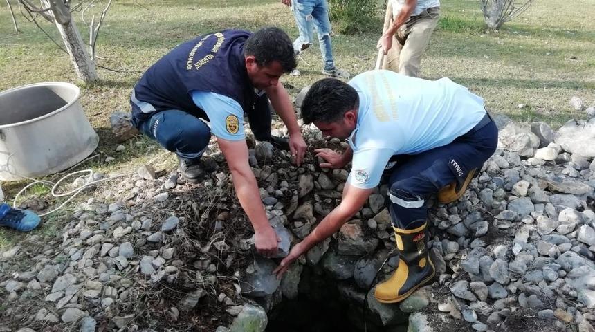 Su kuyusuna düşen inek itfaiye ekiplerince kurtarıldı