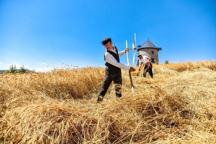 Altınköy’de hasat vakti G2
