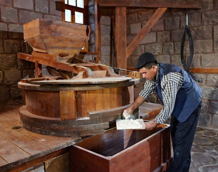 Altınköy’de hasat vakti G3