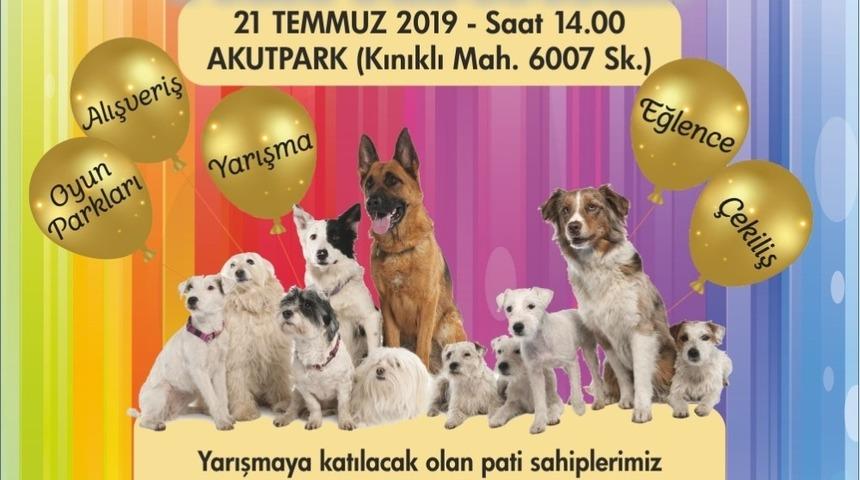 Hayvan dostları Pamukkale&rsquo;deki &rsquo;Pati Festivali&rsquo;nde buluşacak