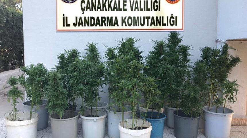 Jandarma ve polisten ortak uyuşturucu operasyonı