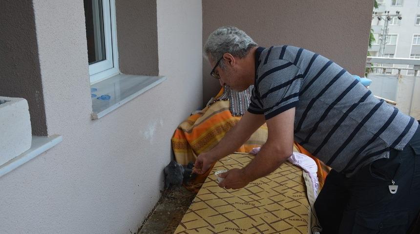 Balkonuna yuva yapan güvercinleri besliyor