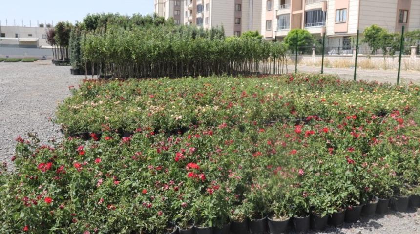 Bağlar Belediyesi’nden organik tarım hamlesi