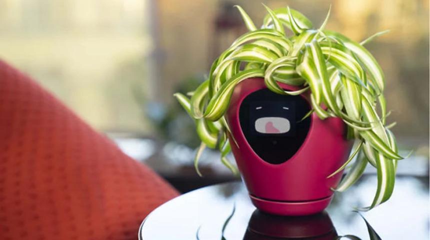 Artık saksınız konuşacak!