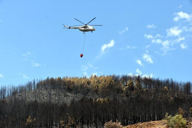 Datça'daki orman yangınına 1 milyon liralık tazminat davası