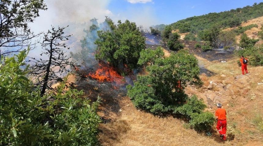 K&ouml;yde yangın &ccedil;ıktı, bazı ağa&ccedil;lar zarar g&ouml;rd&uuml;