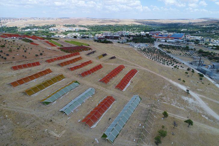 En lezzetlileri orada yetişiyor! Antep kurutmalıkları renk cümbüşü oluşturdu G1