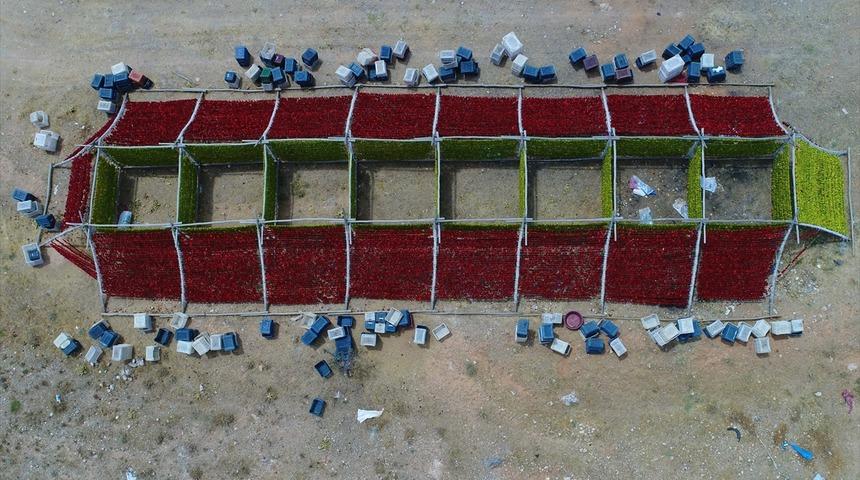 Antep kurutmalıkları tezgaha asıldı