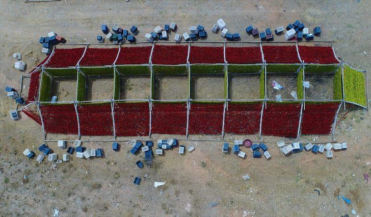 En lezzetlileri orada yetişiyor! Antep kurutmalıkları renk cümbüşü oluşturdu G3