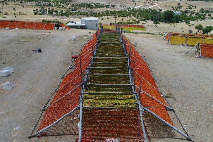 En lezzetlileri orada yetişiyor! Antep kurutmalıkları renk cümbüşü oluşturdu G4