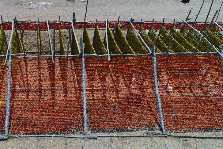 En lezzetlileri orada yetişiyor! Antep kurutmalıkları renk cümbüşü oluşturdu G5