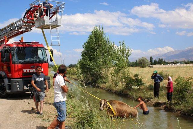 Sulama kanalına düşen büyükbaş hayvanı itfaiye ekipleri kurtardı