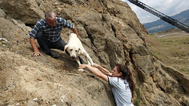 Uçurumda köpek kurtarma operasyonu