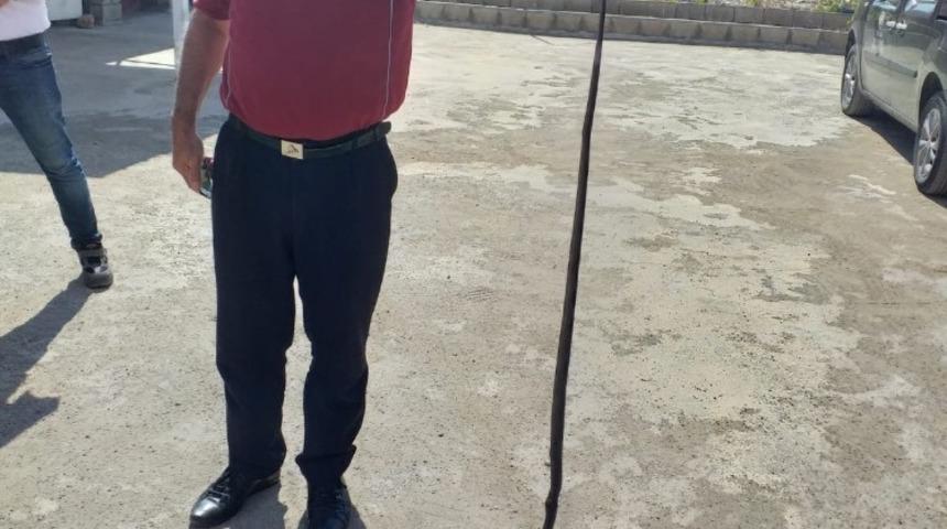 OSB İdari binasına giren yılan etkisiz hale getirildi