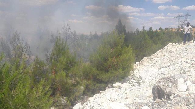 Nizip’te orman yangını