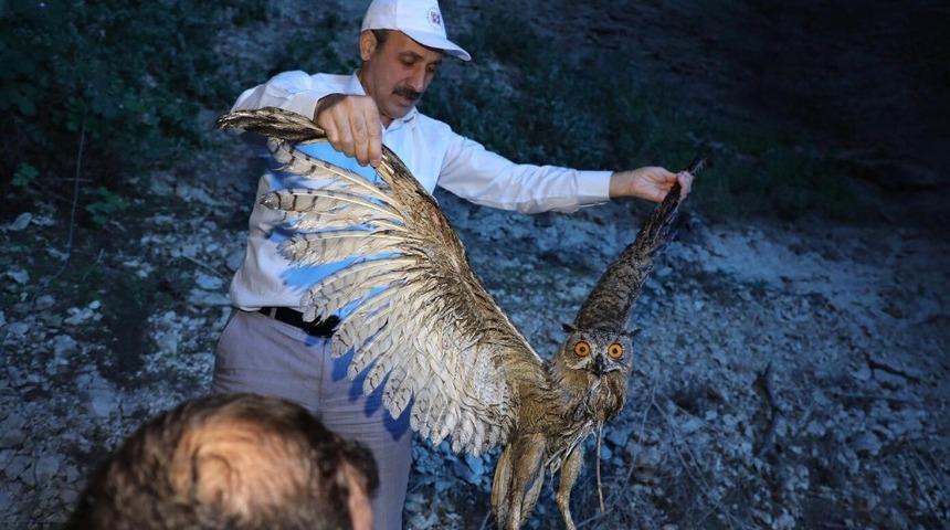 Rekt&ouml;r yaralı baykuşu buldu tedaviye g&ouml;nderdi