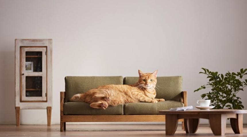  Kediler yaşadı! Onlar için minyatür mobilyalar tasarladılar