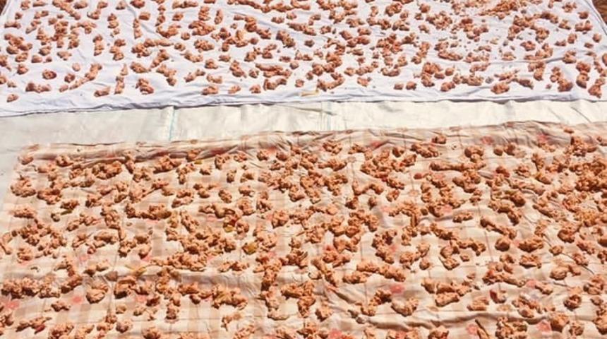 Nallıhan&rsquo;da tarhana ayı başladı