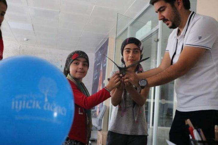 Aksaray'da ölmek üzereyken bulunan ebabil kuşu 1 ay sonra yeniden uçtu G1