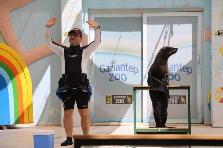 Fokun yetenekleri görenleri şaşırtıyor G1