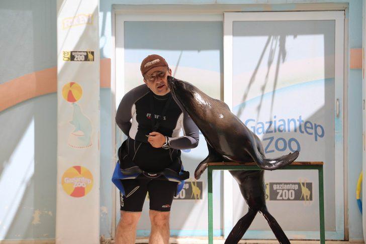 Fokun yetenekleri görenleri şaşırtıyor G2