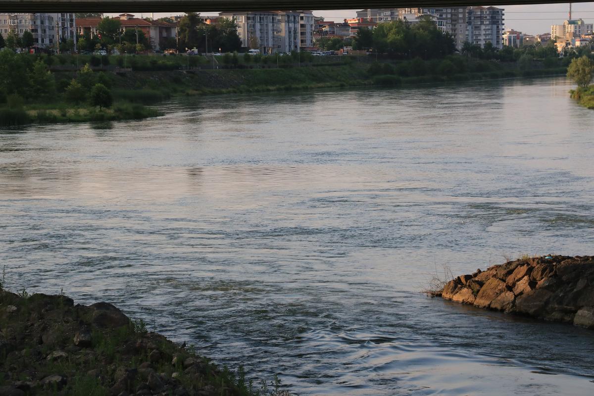 Yeşilırmak&rsquo;ta 'İsrail sazanı' tehdidi! Profes&ouml;rden '&ccedil;ok acil tedbir alınmalı' uyarısı