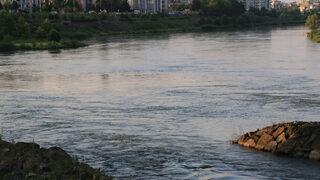 Yeşilırmak’ta 'İsrail sazanı' tehdidi! Profesörden 'çok acil tedbir alınmalı' uyarısı