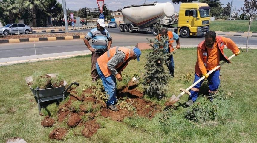 Kilis’te yeşillendirme çalışmaları