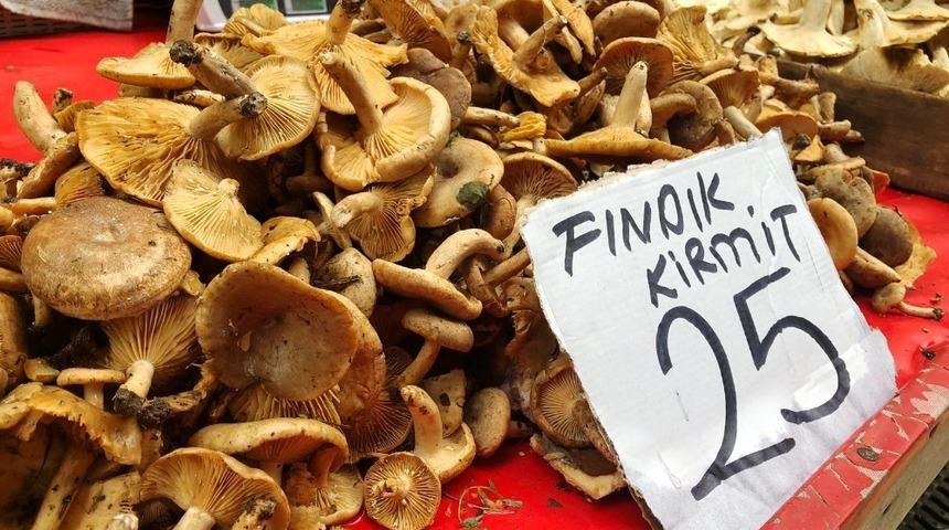 Fındık mantarı tezgahlarda