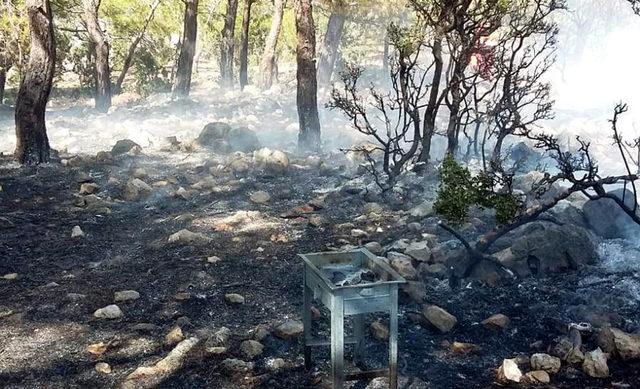 Piknikçilerin mangal ateşinden yangın çıktı - Yeniden