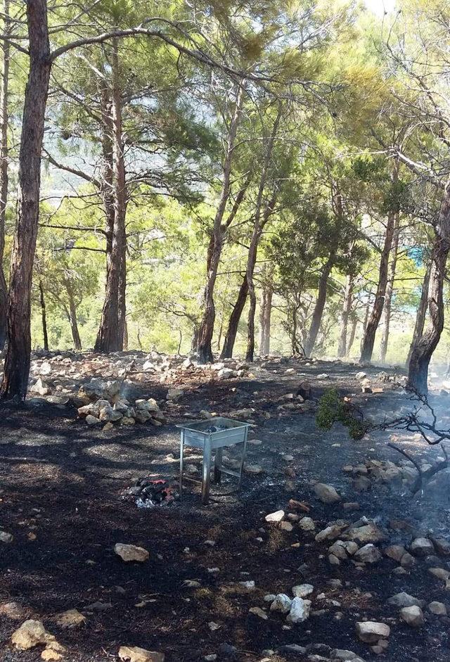 Piknikçilerin mangal ateşinden yangın çıktı - Yeniden