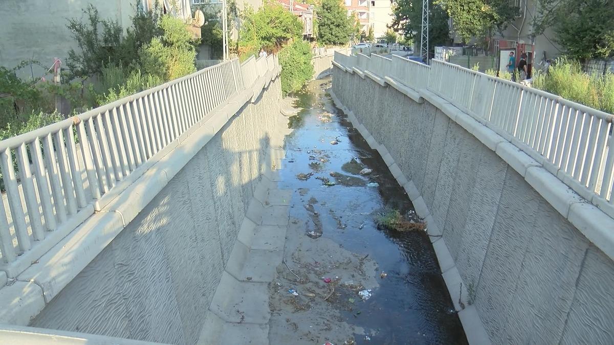 Avcılar Kaymakamı Yaran'dan Batı Nil Vir&uuml;s&uuml; vakaları hakkında a&ccedil;ıklama