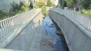 Avcılar Kaymakamı Yaran'dan Batı Nil Virüsü vakaları hakkında açıklama