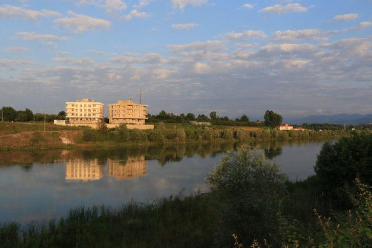 Yeşilırmak’ta 'İsrail sazanı' tehdidi! Profesörden 'çok acil tedbir alınmalı' uyarısı G1