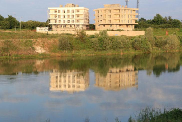 Yeşilırmak’ta 'İsrail sazanı' tehdidi! Profesörden 'çok acil tedbir alınmalı' uyarısı G2