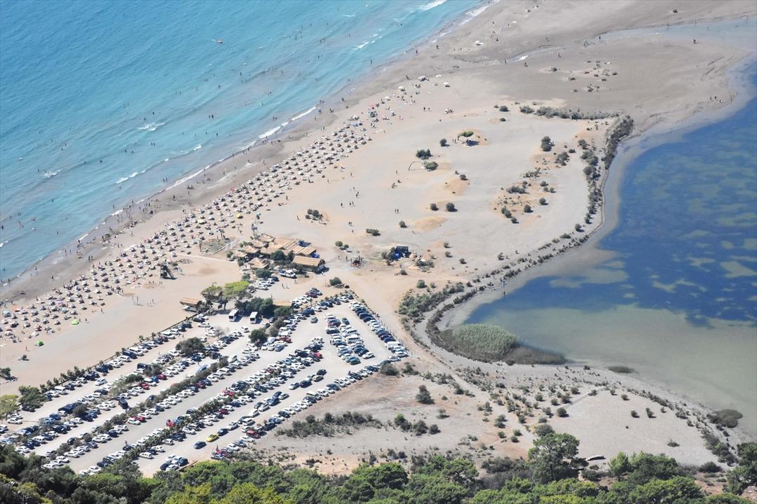 İztuzu Plajı'nda caretta caretta n&ouml;beti