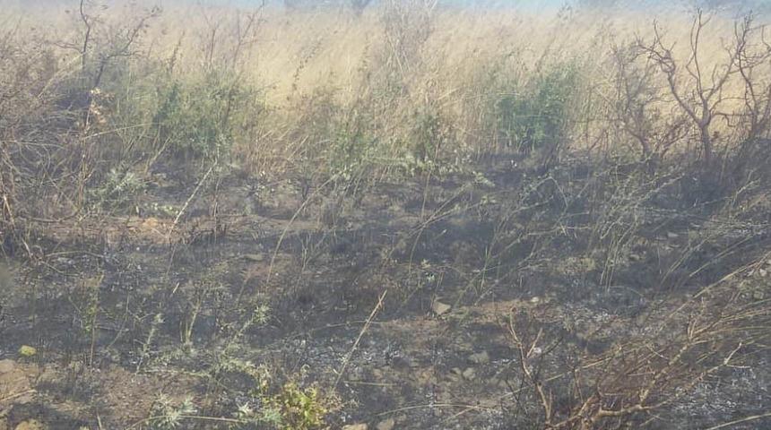 Erdek’te çöplük yangını korkuttu