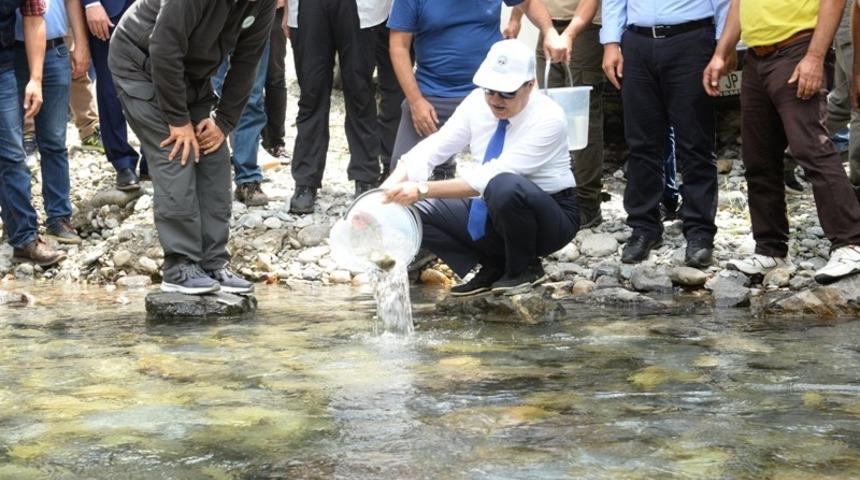 Vali Su, Çamlıyayla’da incelemelerde bulundu