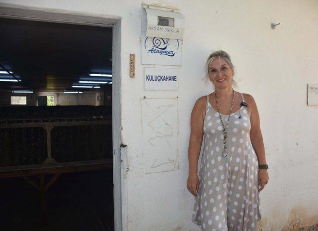 Mermer ihraç eden kadın girişimci, salyangoz çiftliği kurdu