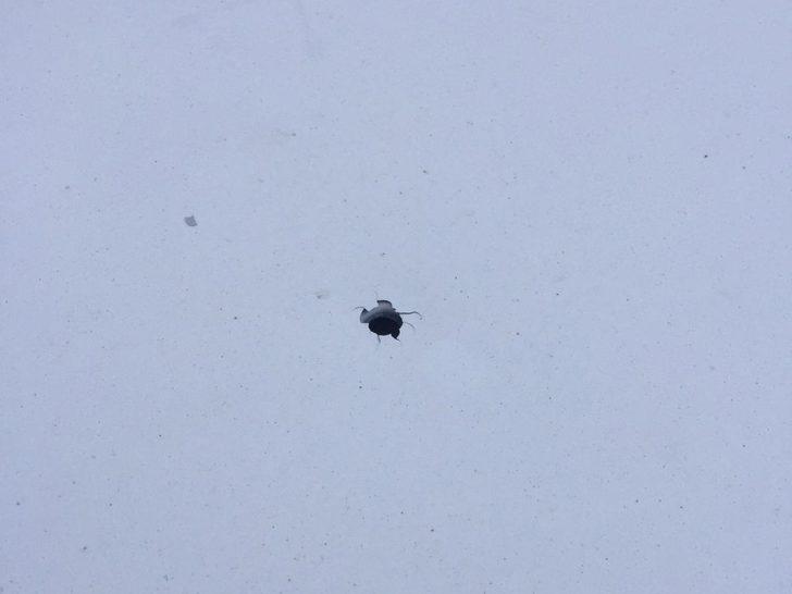 Maganda kurşunu sürücüye dehşeti yaşattı G3