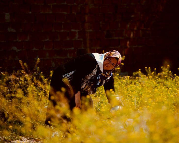 Boş arsada çay demleyerek müteahhidi protesto ediyor G1